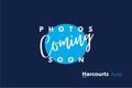 Property photo of 57 Illawarra Crescent Dandenong North VIC 3175