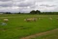 Property photo of 948 Pateena Road Longford TAS 7301