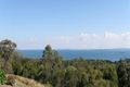 Property photo of 77 Rainbow Crescent Dunwich QLD 4183