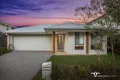 Property photo of 14 Logging Crescent Spring Mountain QLD 4300
