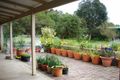 Property photo of 39 Jarrah Elbow Vasse WA 6280