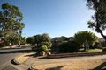 Property photo of 25 Pine Avenue Warradale SA 5046