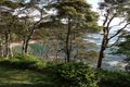 Property photo of 9 Barbara Crescent Denhams Beach NSW 2536