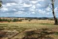 Property photo of 20 Calvert Lane Forest Reefs NSW 2798