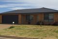 Property photo of 15 Squirrel Glider Drive Thurgoona NSW 2640