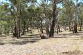 Property photo of 62 Stringybark Drive Brown Hill VIC 3350