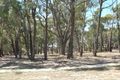 Property photo of 62 Stringybark Drive Brown Hill VIC 3350