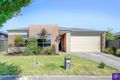 Property photo of 34 Kindred Avenue Cranbourne North VIC 3977