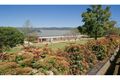 Property photo of 187 Moobi Road Scone NSW 2337