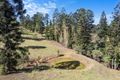 Property photo of 38 Collard Road Mooloo QLD 4570