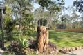 Property photo of 16 Lorikeet Lane Bellbird Park QLD 4300