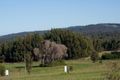 Property photo of 23 Triggerplant Loop Hay WA 6333