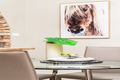 Property photo of 59 Spring Street Arncliffe NSW 2205