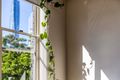 Property photo of 2/2 Pearson Street Balmain East NSW 2041