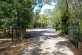 Property photo of 3 Tipuana Drive Capalaba QLD 4157