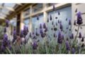 Property photo of 21 Attunga Drive Torquay VIC 3228