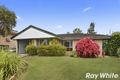 Property photo of 24 Greenore Street Bracken Ridge QLD 4017
