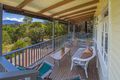 Property photo of 35 Lyon Street Bellingen NSW 2454
