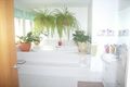 Property photo of 13 Saint Clair Court Murrumba Downs QLD 4503