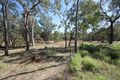 Property photo of 548 Cherry Creek Road Seventy Mile QLD 4820