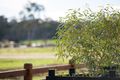 Property photo of LOT 24 Bluestone Street Huntly VIC 3551