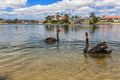 Property photo of 9/17-19 Duet Drive Mermaid Waters QLD 4218
