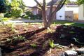 Property photo of 15 Pine Avenue Warradale SA 5046