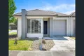 Property photo of 38 Numurkah Common Epping VIC 3076