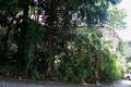 Property photo of 38 Killara Avenue Hamilton QLD 4007