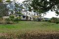 Property photo of 31 Hatfield Road Eumundi QLD 4562