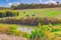 Property photo of 216 Chevin Road Roleystone WA 6111