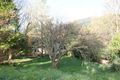 Property photo of 50 Donna Buang Road Warburton VIC 3799