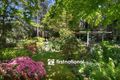 Property photo of 33 Sherbrooke Lodge Road Sherbrooke VIC 3789