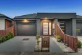 Property photo of 7 Hermione Terrace Epping VIC 3076