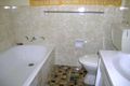 Property photo of 45 Natuna Avenue Budgewoi NSW 2262