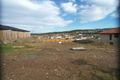 Property photo of 13 Tallow Street Pacific Pines QLD 4211