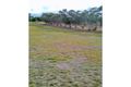 Property photo of 6 Rose Street Grabben Gullen NSW 2583