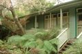 Property photo of 19 Olive Grove Tecoma VIC 3160