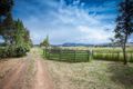 Property photo of 136 Shannons Road Lancefield VIC 3435