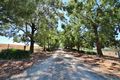 Property photo of 4309 Olympic Highway Young NSW 2594