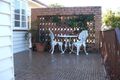 Property photo of 53 Dovedale Crescent Ashgrove QLD 4060