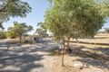 Property photo of 140 Roach Road Lucindale SA 5272