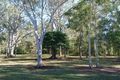 Property photo of 51 Macaranga Crescent Carseldine QLD 4034