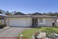 Property photo of 23 Linaria Circuit Drewvale QLD 4116