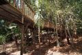 Property photo of 8 Sandpiper Crescent Jubilee Pocket QLD 4802