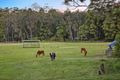 Property photo of 779 Tallebudgera Creek Road Tallebudgera Valley QLD 4228