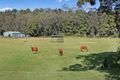 Property photo of 779 Tallebudgera Creek Road Tallebudgera Valley QLD 4228