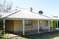 Property photo of 24 Holthouse Street Wilmington SA 5485