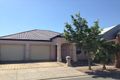 Property photo of 6 Maple Circuit Mawson Lakes SA 5095