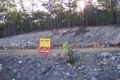 Property photo of 24 Capelily Street Upper Coomera QLD 4209